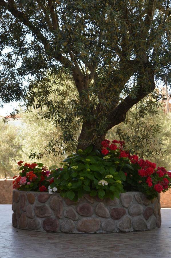 Aparthotel Anaxos Gardens Esterno foto